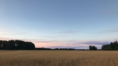 Imagen del encabezado de OnlyFans de hanna_panda