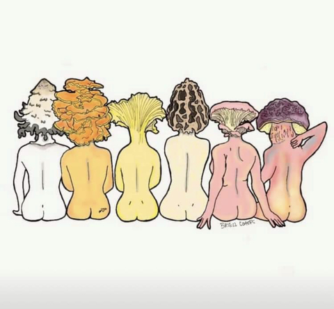 Gambar header OnlyFans hannahsammich