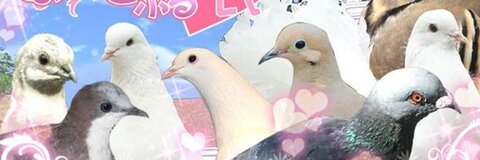 ओनलीफैंस हेडर चित्र hazeljeanxo