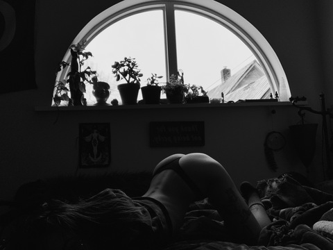 hazyhoneybee의 OnlyFans 해더 사진