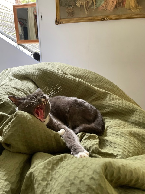 heavenlytreasure2의 OnlyFans 해더 사진