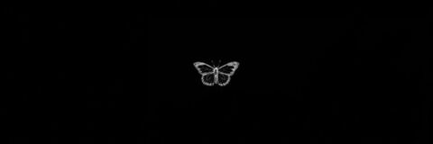 Immagine di intestazione OnlyFans hertaylor