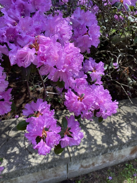 OnlyFansのヘッダー画像 hh234573268