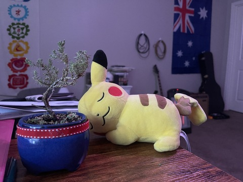 صورة رأس OnlyFans hi_im_kip