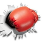 ओनलीफ़ैंस प्रोफ़ाइल चित्र hkboxing2018