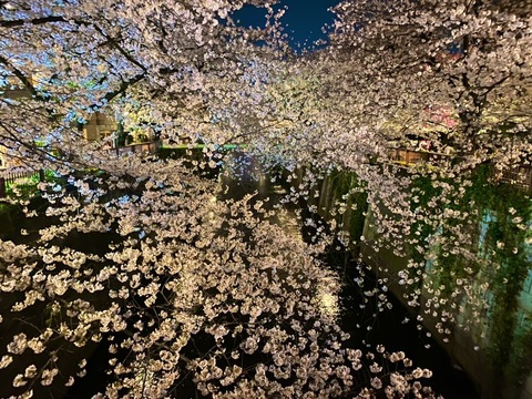 Imagen del encabezado de OnlyFans de hktegg3