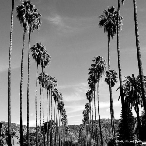 Immagine di intestazione OnlyFans holewrecker69