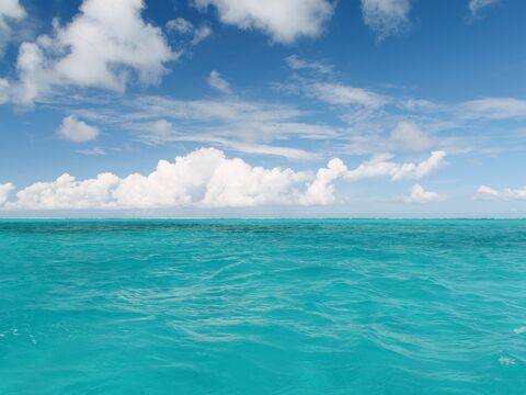 OnlyFans Titelbild howipaymyrent