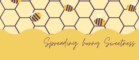 Gambar header OnlyFans hunnybeesarecool