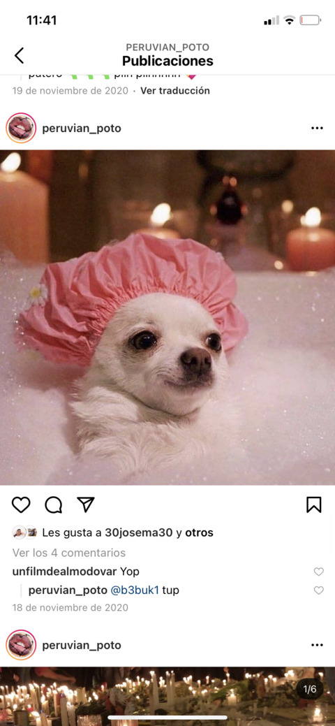 Obraz nagłówkowy OnlyFans #nazwa_użytkownika#