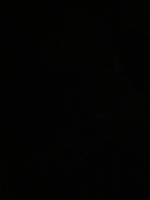 صورة رأس OnlyFans ieshaaarenayyy