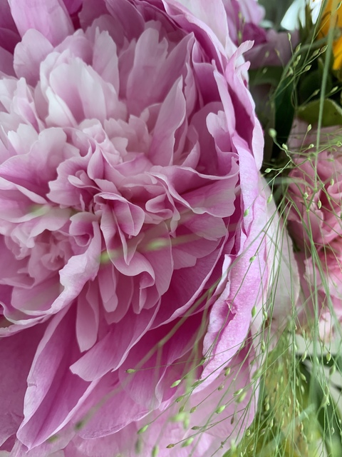 OnlyFansのヘッダー画像 iidaketola