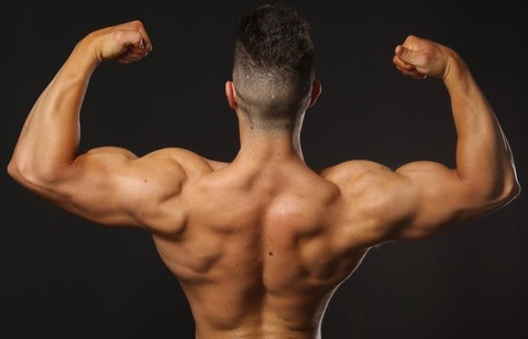 صورة رأس OnlyFans imperialmusclefree