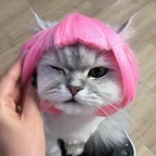 Profielfoto van OnlyFans imqueenlia