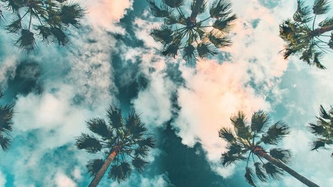 OnlyFans Titelbild inkrbs