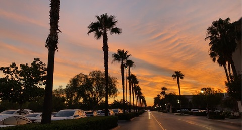 Imagem do cabeçalho do OnlyFans inthemoodxxx