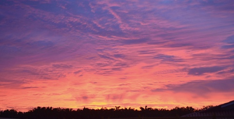 ओनलीफैंस हेडर चित्र isaqueirolo