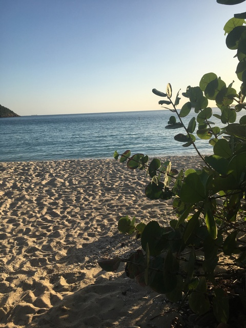 isyuhloyal의 OnlyFans 해더 사진