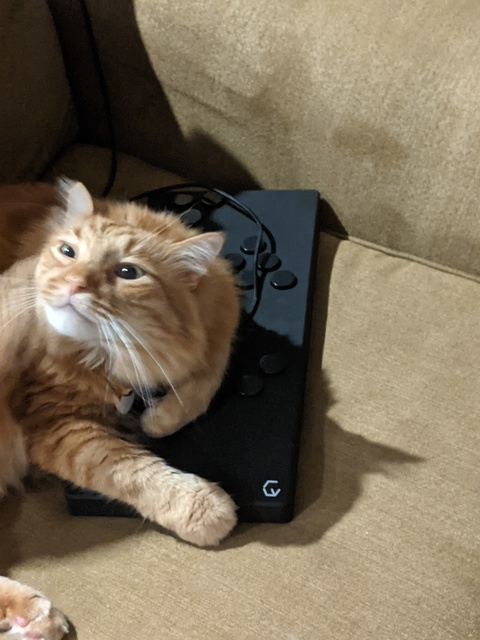 Obraz nagłówkowy OnlyFans #nazwa_użytkownika#