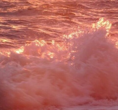 Gambar header OnlyFans itsivylebelle