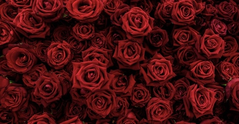 Изображение шапки OnlyFans itsparadise