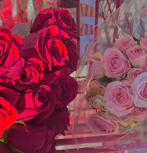 Immagine di intestazione OnlyFans jadelove.xo