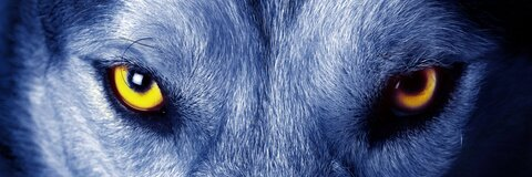 OnlyFansのヘッダー画像 jaimex_rks