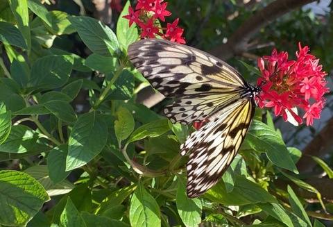 ओनलीफैंस हेडर चित्र jamelizzzz