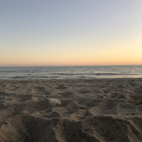 OnlyFans Titelbild jarredzoldyck