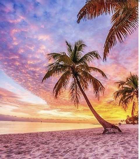 صورة رأس OnlyFans jeaniejem