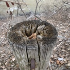 صورة الملف الشخصي في OnlyFans jege2