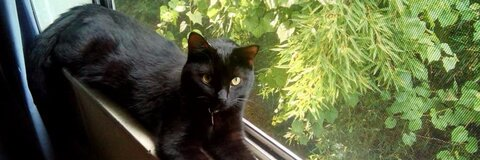 ओनलीफैंस हेडर चित्र jesskitti