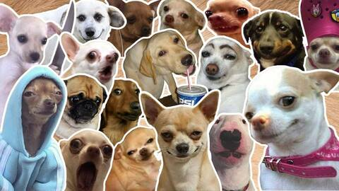 Изображение шапки OnlyFans jesuck