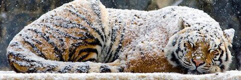 Imagen del encabezado de OnlyFans de jiangengz