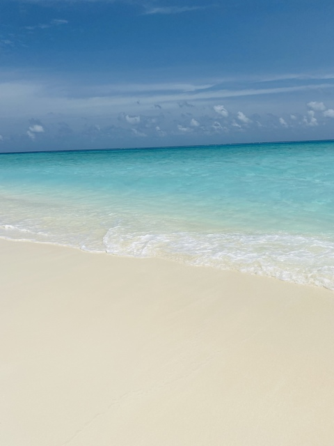 OnlyFans Titelbild joicoleart