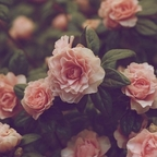 Foto do perfil do OnlyFans de jordyn