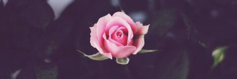 Imagem do cabeçalho do OnlyFans jordyn