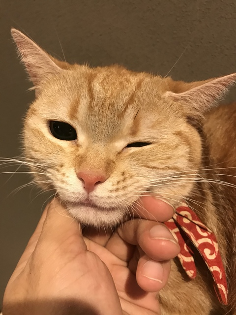 OnlyFans header picture joykimforyou