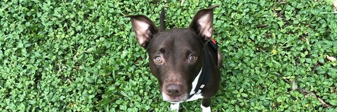 Снимка на заглавието на OnlyFans kailieyeager7