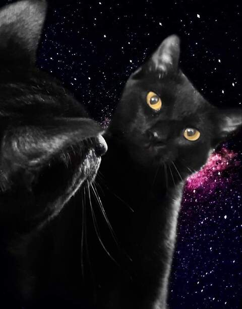 Изображение шапки OnlyFans katthegat