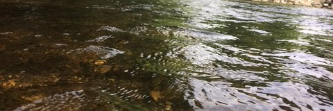 ओनलीफैंस हेडर चित्र kaykay64030231