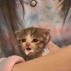 Profielfoto van OnlyFans keniajose