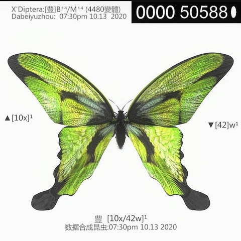 Изображение шапки OnlyFans kikim00n