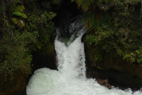 Immagine di intestazione OnlyFans kimgerdes