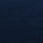 Profielfoto van OnlyFans kira_lotoss_video