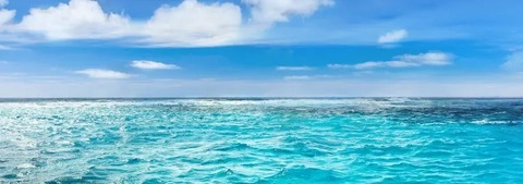 Image d'en-tête OnlyFans kittensparadise