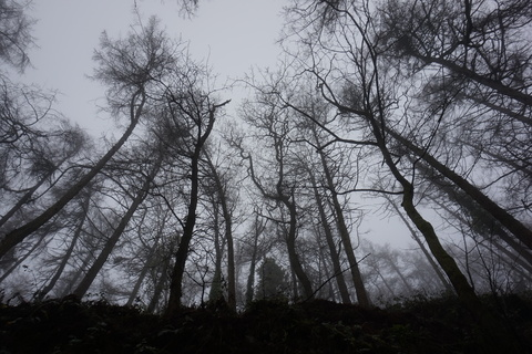 Obraz nagłówkowy OnlyFans #nazwa_użytkownika#