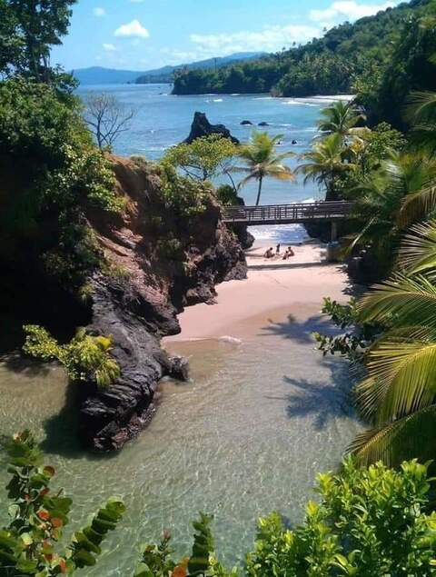 Obraz nagłówkowy OnlyFans #nazwa_użytkownika#