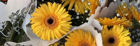 OnlyFans başlık resmi ladylibelula