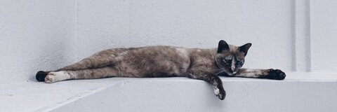 صورة رأس OnlyFans lai91640829